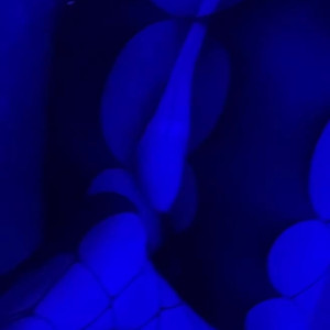 alexquinnv #3738871