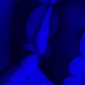 alexquinnv #3939104