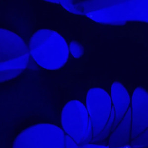 alexquinnv #4371030