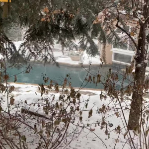 Video by perripiper published on July 20,2023 03:40:00 - BestThots