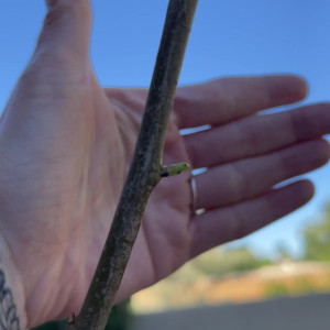 Video by perripiper published on March 27,2023 09:37:00 - BestThots