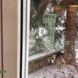 Video by perripiper published on March 30,2023 07:38:00 - BestThots