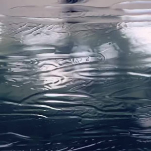 Video by skyeevans published on March 31,2023 09:23:00 - BestThots