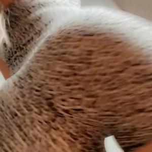 Video by skyeevans published on March 4,2023 05:00:00 - BestThots