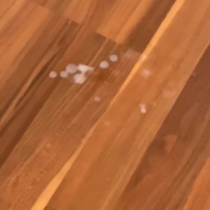 Video by skyeevans published on March 16,2023 03:35:00 - BestThots
