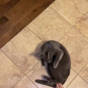 Video by feetznation published on March 31,2023 05:59:00 - BestThots