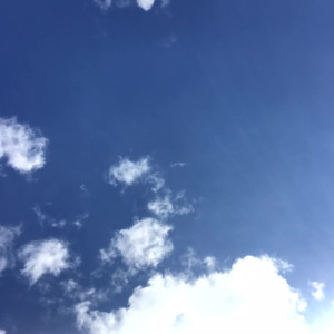 Video by skylarsharkfree published on August 21,2023 01:34:00 - BestThots