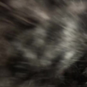 Video by irisivy published on March 22,2023 18:28:00 - BestThots