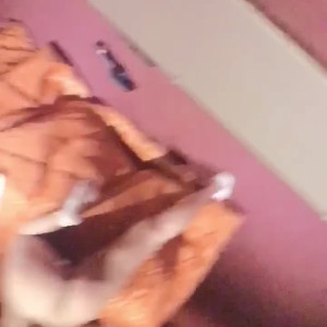 Video by carlared16 published on May 5,2023 17:53:00 - BestThots