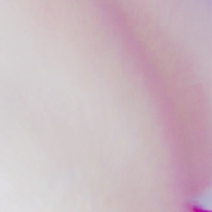 Video by carlared16 published on March 17,2023 09:08:00 - BestThots