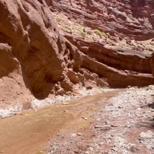 Video by hellojewels published on April 7,2023 03:28:00 - BestThots