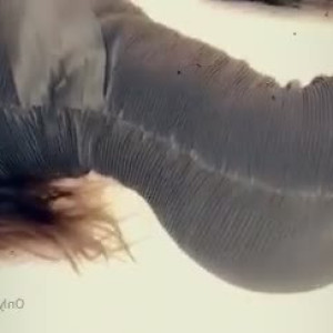 Video by stacylayke published on July 30,2023 02:14:00 - BestThots