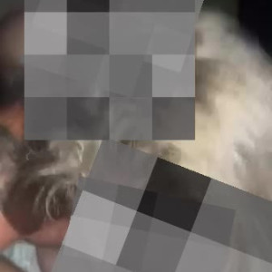 Video by nikolekanexo published on April 10,2023 11:11:00 - BestThots