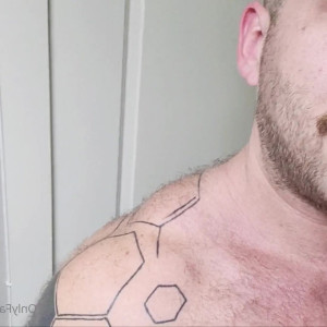 chonkygains #4829267