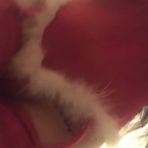Video by brunettebabiii published on October 16,2023 20:00:16 - BestThots