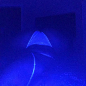 Video by msdamn published on May 8,2023 02:26:00 - BestThots