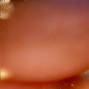 Video by bosnianbeautyy published on July 2,2023 09:17:00 - BestThots