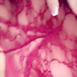 Video by bosnianbeautyy published on July 2,2023 17:27:00 - BestThots