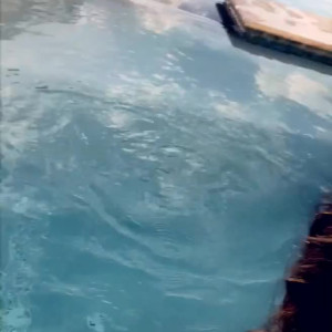 Video by bosnianbeautyy published on June 20,2023 12:54:00 - BestThots