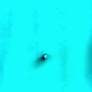 Video by bosnianbeautyy published on April 17,2023 18:33:00 - BestThots