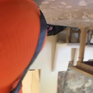 Video by bosnianbeautyy published on July 9,2023 13:49:00 - BestThots