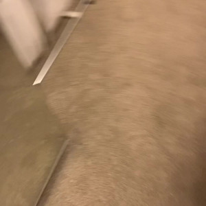 Video by drewalexander published on April 26,2023 14:19:00 - BestThots