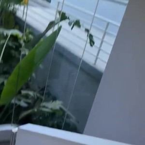 Video by islasummer published on July 3,2023 02:39:00 - BestThots