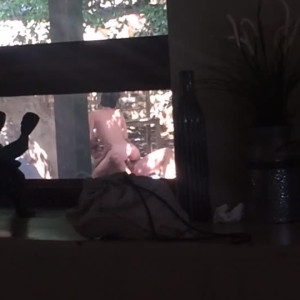 Video by miamalkova published on June 30,2023 09:22:00 - BestThots