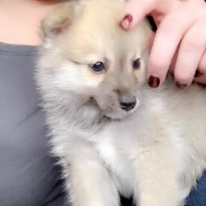 Video by nikkieliot published on August 10,2023 16:48:00 - BestThots