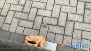 goddessamber #9731483