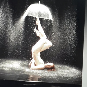 Video by caelyx published on August 24,2023 13:33:56 - BestThots