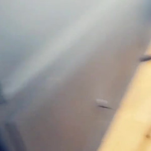 Video by caelyx published on August 24,2023 13:31:54 - BestThots