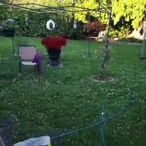 Video by caelyx published on August 24,2023 13:36:04 - BestThots