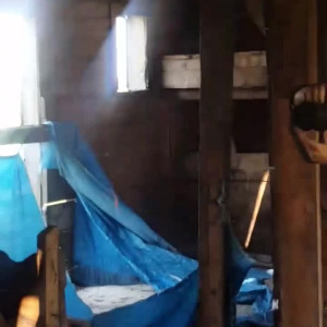 Video by caelyx published on August 24,2023 13:37:04 - BestThots
