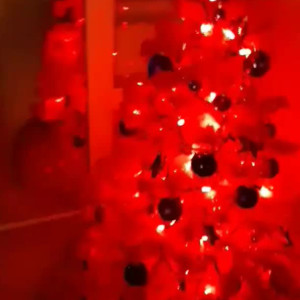 Video by caelyx published on August 24,2023 13:45:49 - BestThots