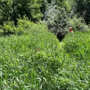 Video by caelyx published on August 22,2023 09:40:00 - BestThots