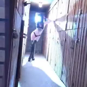 Video by caelyx published on June 22,2023 06:04:00 - BestThots