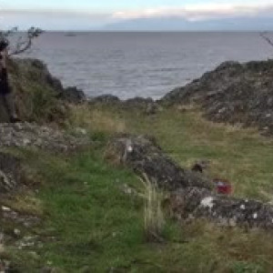 Video by caelyx published on April 26,2023 08:58:00 - BestThots
