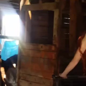 Video by caelyx published on March 20,2023 06:11:00 - BestThots
