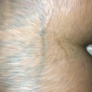 Video by amazonia_chyna published on March 20,2023 06:34:00 - BestThots