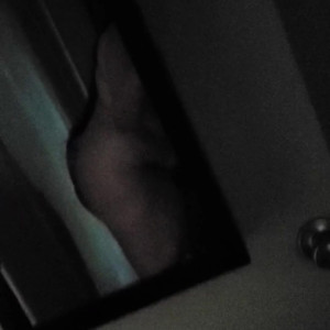 Video by bbwlaceylane published on August 24,2023 14:14:44 - BestThots