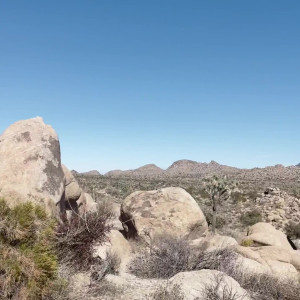 Video by claudiamcpherson published on August 6,2023 07:59:00 - BestThots