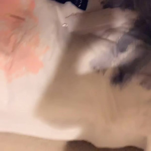 Video by stephmurves published on May 2,2023 20:11:00 - BestThots