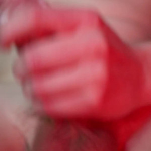crustbag #4704125