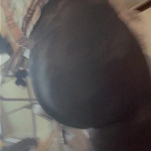 Video by goblincub published on April 2,2023 20:31:00 - BestThots