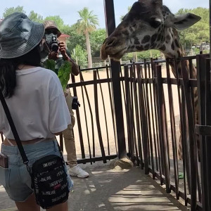 Video by goblincub published on July 8,2023 16:37:00 - BestThots