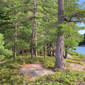 Video by sexmeat published on July 22,2023 07:25:00 - BestThots