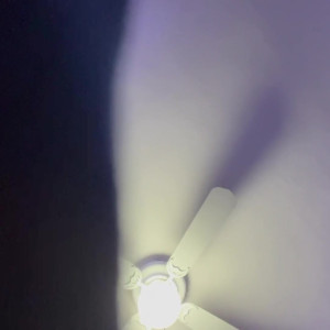 Video by giaitzel published on June 14,2023 04:16:00 - BestThots