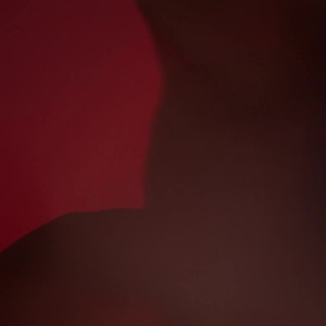 lupefuentes #5525910