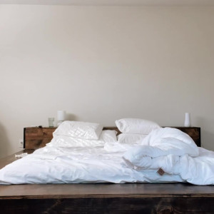 lupefuentes #5567609